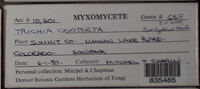 Image Associated With the Occurence